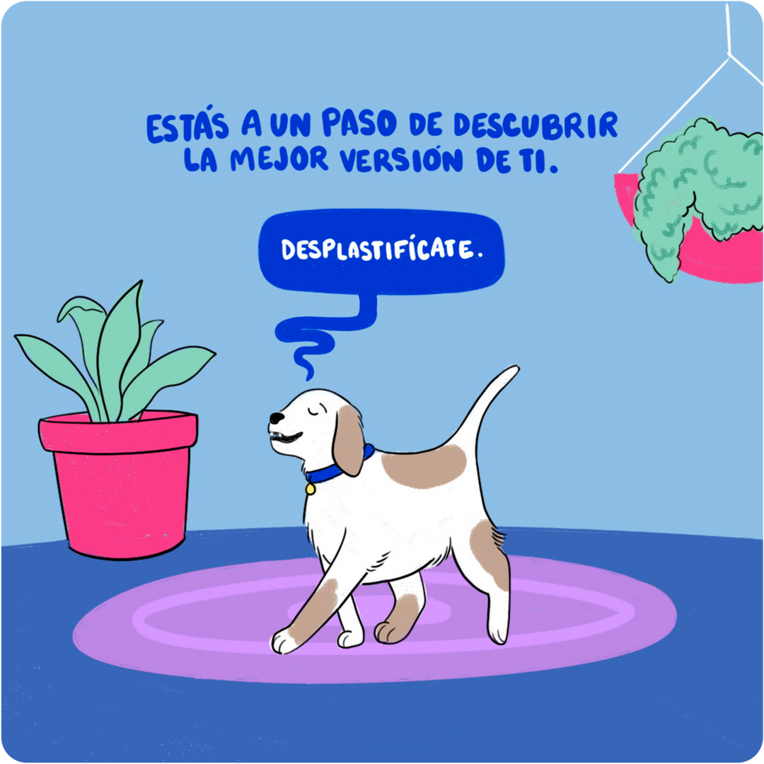 servicio despla